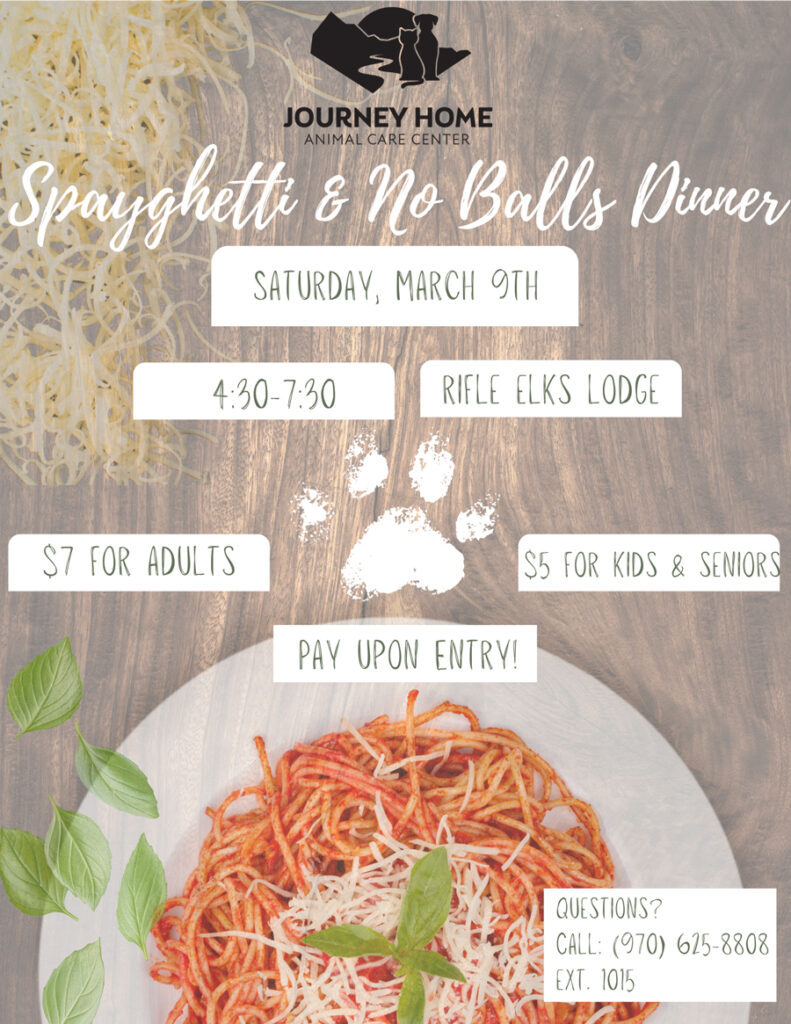 Spaghetti & No Balls Dinner Event Flyer